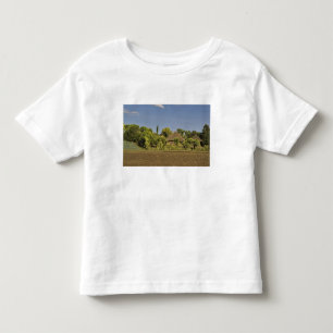 T-shirt Pour Les Tous Petits Un champ cultivé devant des maisons à toit de chau