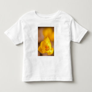 T-shirt Pour Les Tous Petits Un crocus jaune fleurit à Portsmouth, Nouveau