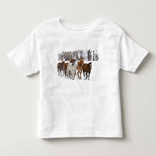 T-shirt Pour Les Tous Petits Un hiver pittoresque de course (Devant)