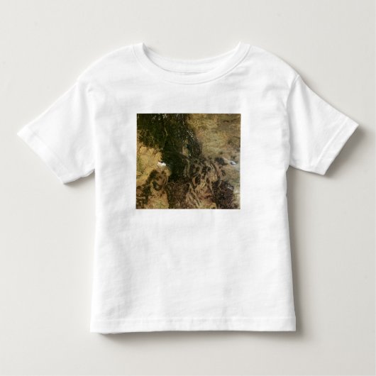 T-shirt Pour Les Tous Petits Un jour relativement clair (Devant)