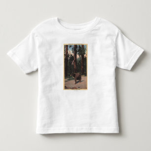 T-shirt Pour Les Tous Petits Un ours Brown dans les bois
