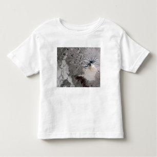 T-shirt Pour Les Tous Petits Un panache riche en cendres monte