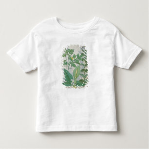 T-shirt Pour Les Tous Petits Un plus grand Celandine ou un pavot