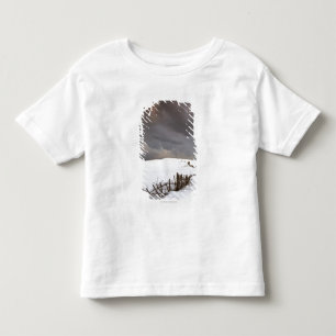 T-shirt Pour Les Tous Petits Une barrière cassée le long d'une neige a couver
