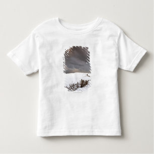 T-shirt Pour Les Tous Petits Une barrière cassée le long d'une neige a couvert