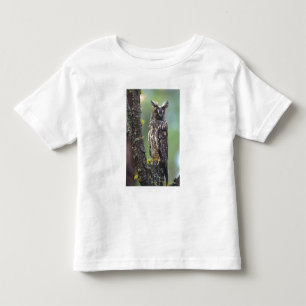 T-shirt Pour Les Tous Petits Une chouette effraie perchée sur une branche d'arb