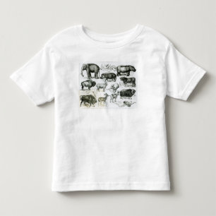 T-shirt Pour Les Tous Petits Ungulata ou animaux à sabots