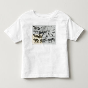 T-shirt Pour Les Tous Petits Ungulata ou animaux à sabots