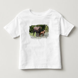 T-shirt Pour Les Tous Petits USA, Wyoming, Montagnes Bighorn, Alces d'orignaux