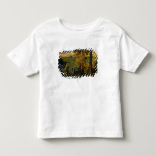 T-shirt Pour Les Tous Petits UTAH. Pins ponderosa et trembles, automne. Lever d