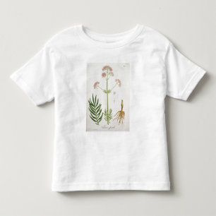 T-shirt Pour Les Tous Petits Valériane de "Phytographie Medicale" par le RO de