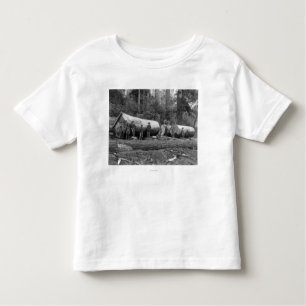 T-shirt Pour Les Tous Petits Vapeur ouvrant une session les cascades de stat de