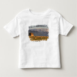 T-shirt Pour Les Tous Petits Vieille grange encadrée par des balles de foin et