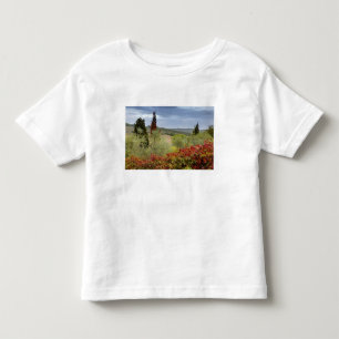 T-shirt Pour Les Tous Petits Vignoble près de Montalcino, Toscane, Italie