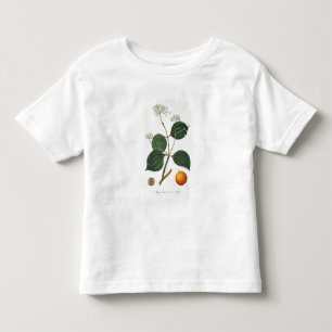 T-shirt Pour Les Tous Petits Vomiquier de Strychnos de 'Phytographie Medicale