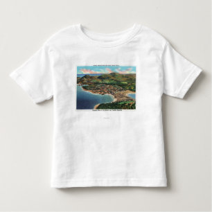 T-shirt Pour Les Tous Petits Vue aérienne de port et de Cadillac de barre