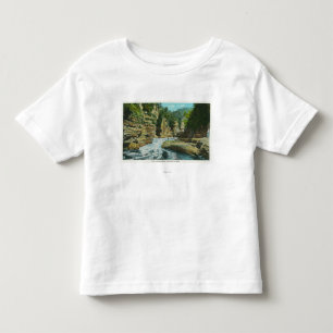 T-shirt Pour Les Tous Petits Vue d'abîme d'Ausable près de la tête de