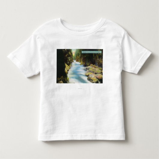 T-shirt Pour Les Tous Petits Vue de canyon de Seymour (Devant)