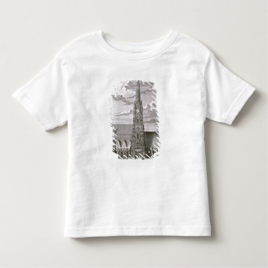 T-shirt Pour Les Tous Petits Vue de cathédrale de St Stephan (Devant)