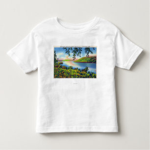 T-shirt Pour Les Tous Petits Vue de Hwy d'état de point de bluff