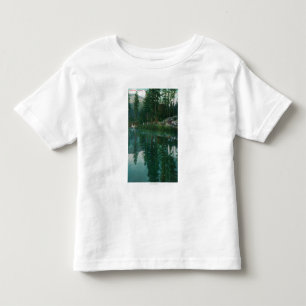 T-shirt Pour Les Tous Petits Vue de Stella LakeWawona, CA