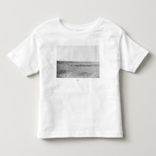 T-shirt Pour Les Tous Petits Vue éloignée des cowboys avec des troupeaux de bét