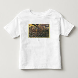 T-shirt Pour Les Tous Petits Vue intérieure du JR Simplot déshydratant la Co