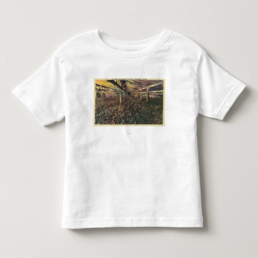 T-shirt Pour Les Tous Petits Vue intérieure du JR Simplot déshydratant la Co (Devant)