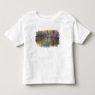 T-shirt Pour Les Tous Petits WA, forêt nationale de Wenatchee, ruisseau Whitepi