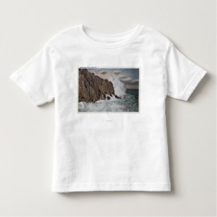 T-shirt Pour Les Tous Petits York, MaineView de tête chauve CliffYork, JE