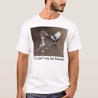 T-shirt Pourquoi ne pouvons pas nous être des amis