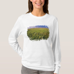 T-shirt Prairie à graminées courtes dans le nord-est éloig