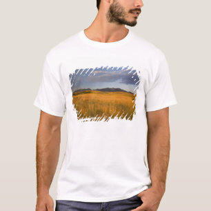 T-shirt Prairies dans les contreforts de