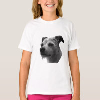 Présence dans le profil – Parson Russell Terrier