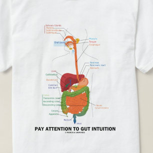 T-shirt Prêtez Attention À L'Intuition De L'Otus (Humour A