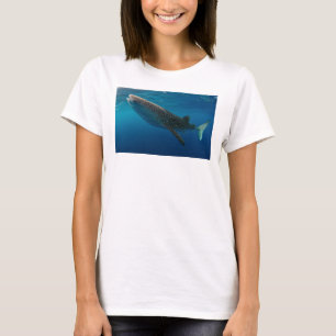 T-shirt Profil d'un requin baleine, Indonésie