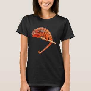T-shirt Protection des animaux Protection des animaux Prot