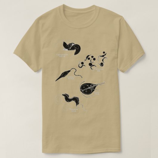 T-shirt Protozoa black  (Design devant)