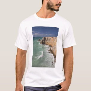 T-shirt Puerto Rico, côte ouest, Cabo Rojo, littoral