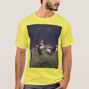 T-shirt Puffins de l'Atlantique