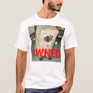 T-shirt pwnage, la devise de gamers