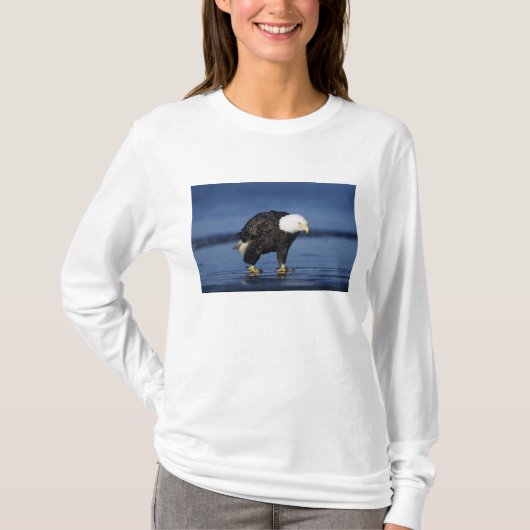 T-shirt Pygargue à tête blanche (Devant)