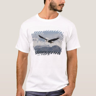 T-shirt Pygargue à tête blanche en vol, Haliaeetus leucoce