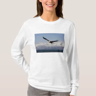 T-shirt Pygargue à tête blanche en vol, Haliaeetus leucoce