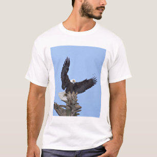 T-shirt Pygargue à tête blanche (Haliaeetus leucocephalus)