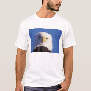 T-shirt pygargue à tête blanche, Haliaeetus leucocephalus,