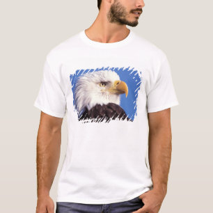 T-shirt pygargue à tête blanche, Haliaeetus leucocephalus,