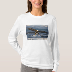 T-shirt Pygargue à tête blanche, Haliaeetus leucocephalus,