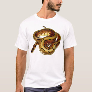 T-shirt Python de boule d'araignée