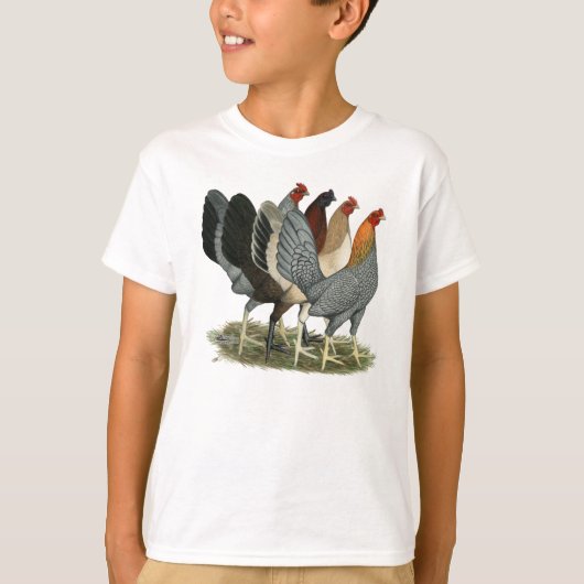 T-shirt Quatre poules de combat (Devant)